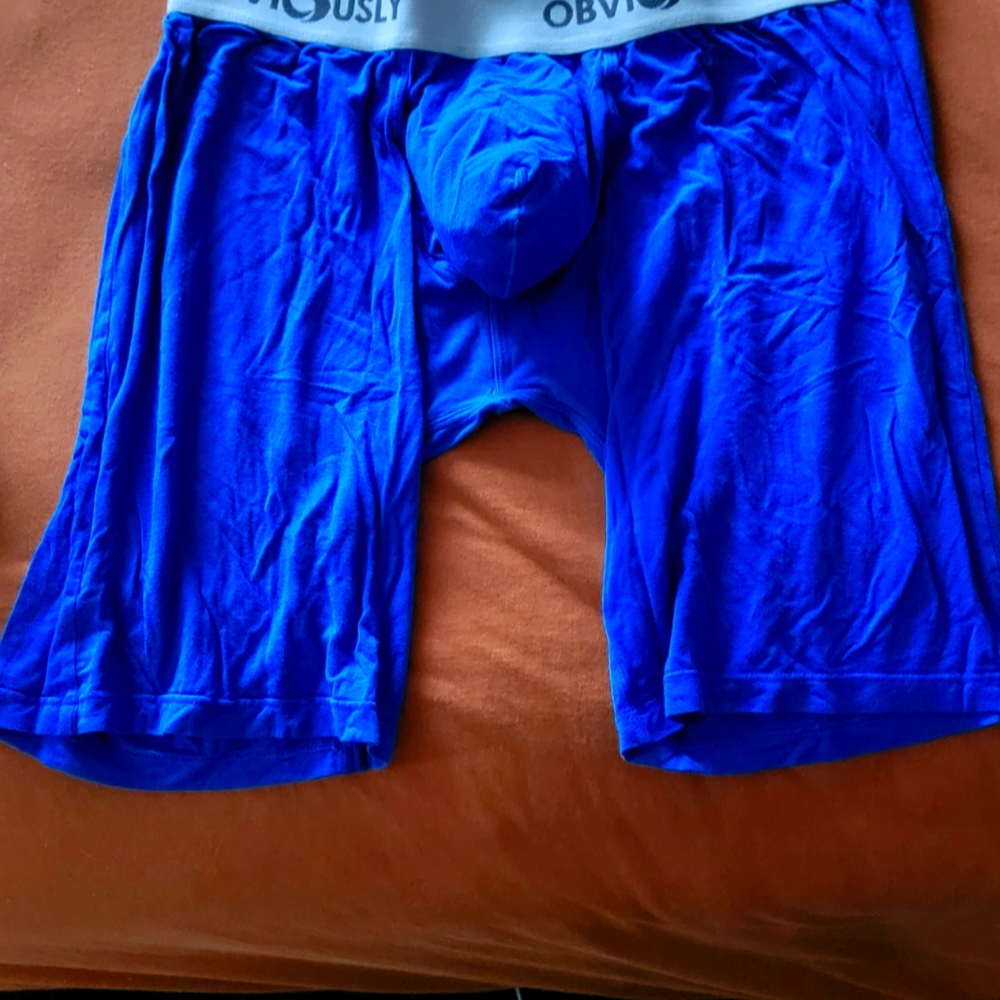 OBVIOUSLY boxer brief US Large (custom]